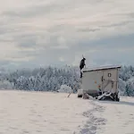 Zimis Hofnest