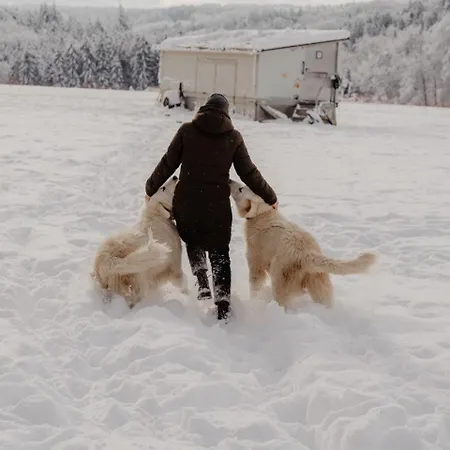 Zimis Hofnest Appartement