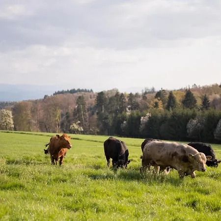 Appartement Zimis Hofnest Freiamt