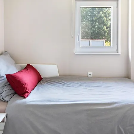 Zimis Hofnest * Freiamt