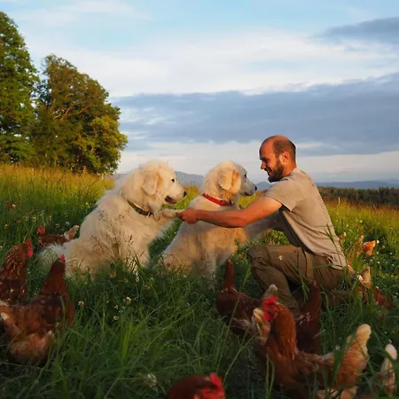 Zimis Hofnest Appartement Freiamt